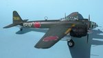 18_P1Y1 Ginga_1292.JPG