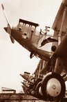 Vickers Vildebeest.jpg