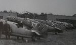 White 13_JG 53_.JPG