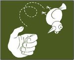 flipthebird.jpg