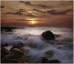 12533889539sh2Qz6.jpg