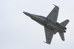IMG_3563.1.jpg