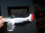 100_0631_118.jpg