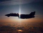 iiaftomcat_jpg_150.jpg