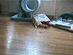 rhedd_20ball_100.gif