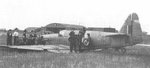 firefly__z1960__950.jpg