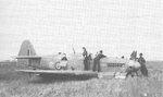 firefly__z1969__145.jpg