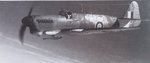 firefly_f_i_204.jpg