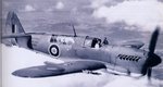 firefly_i__z2035__218.jpg