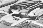 firefly_t1_194.jpg