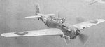 fulmar_i__1__142.jpg