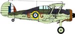 805_sqdn_sea_gladiator_i__n5567__514.jpg
