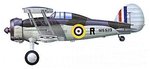 sea_gladiator_i__n5519__112.jpg