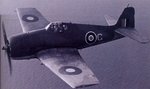 hellcat_i_485.jpg