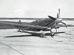 seafire_ii_217.jpg