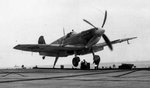 seafire_iii_on_landing_177.jpg