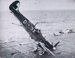 807_sqdn_seafire_iii__pp979__crash_landed_on_hms_hunter_210.jpg