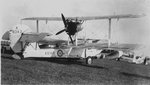 faa_walrus_i__k8343__476.jpg