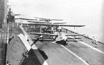 walrus_aboard_hms_eagle_137.jpg