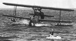 walrus_rescue_170.jpg