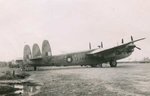 avroyork-morotai_230.jpg