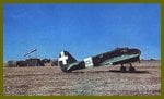 ca.311_261.jpg