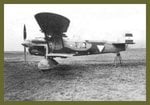 ro.37__5__162.jpg