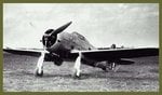 ro.51_338.jpg