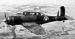 skua_ii_169.jpg