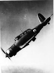 skua_ii__l2883__176.jpg
