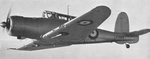 skua_ii__l2883__-1-_161.jpg