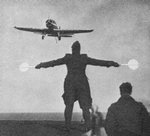 skua_ii_coming_to_land_947.jpg