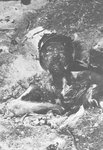 flamethrower_grim_reality_of_war_788.jpg