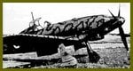 mc.205__3__100.jpg