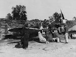 mc.205__7__202.jpg