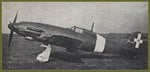 mc.205n_801.jpg