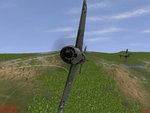 buff5_121.jpg