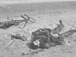 german_soldier_killed_855.jpg