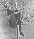 sniper_dead_spanish_civil_war_182.jpg