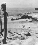 us_marine_dead_pacific_war_768.jpg