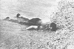 us_sailor_dead_pacific_war_687.jpg