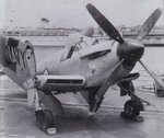 firef_159.jpg