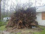 ry02_110.jpg