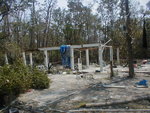 lb03_243.jpg