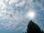 glider_635.jpg