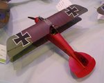 45_Albatros_0542.JPG