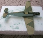 camo3a.jpg