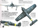 Fw190F-8  SG2 black5.JPG