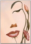 illusionart8.jpg