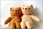 cutest_teddy_bears.jpg